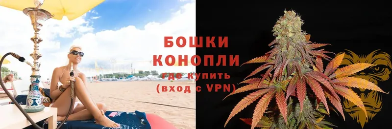 Конопля OG Kush  продажа наркотиков  Полевской 